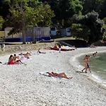 16053a Πούλα